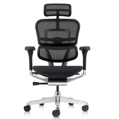 Bureaustoel Ergohuman Elite 2